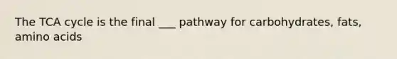 The TCA cycle is the final ___ pathway for carbohydrates, fats, amino acids