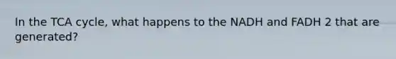 In the TCA cycle, what happens to the NADH and FADH 2 that are generated?
