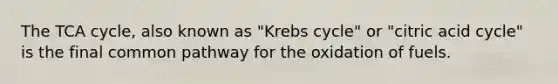 The TCA cycle, also known as "Krebs cycle" or "citric acid cycle" is the final common pathway for the oxidation of fuels.