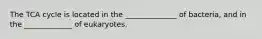 The TCA cycle is located in the ______________ of bacteria, and in the _____________ of eukaryotes.