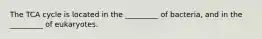 The TCA cycle is located in the _________ of bacteria, and in the _________ of eukaryotes.