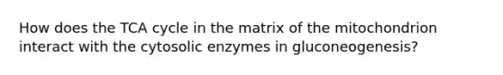 How does the TCA cycle in the matrix of the mitochondrion interact with the cytosolic enzymes in gluconeogenesis?