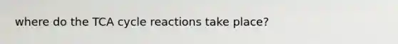 where do the TCA cycle reactions take place?