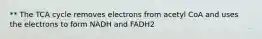 ** The TCA cycle removes electrons from acetyl CoA and uses the electrons to form NADH and FADH2