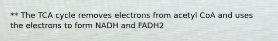 ** The TCA cycle removes electrons from acetyl CoA and uses the electrons to form NADH and FADH2