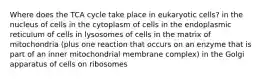 Where does the TCA cycle take place in eukaryotic cells? in the nucleus of cells in the cytoplasm of cells in the endoplasmic reticulum of cells in lysosomes of cells in the matrix of mitochondria (plus one reaction that occurs on an enzyme that is part of an inner mitochondrial membrane complex) in the Golgi apparatus of cells on ribosomes