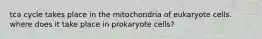 tca cycle takes place in the mitochondria of eukaryote cells. where does it take place in prokaryote cells?