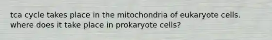 tca cycle takes place in the mitochondria of eukaryote cells. where does it take place in prokaryote cells?