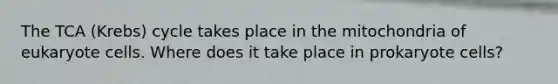 The TCA (Krebs) cycle takes place in the mitochondria of eukaryote cells. Where does it take place in prokaryote cells?
