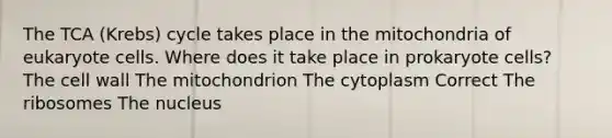 The TCA (Krebs) cycle takes place in the mitochondria of eukaryote cells. Where does it take place in prokaryote cells? The cell wall The mitochondrion The cytoplasm Correct The ribosomes The nucleus