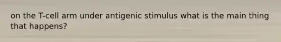 on the T-cell arm under antigenic stimulus what is the main thing that happens?