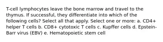 T-cell lymphocytes leave the bone marrow and travel to the thymus. If successful, they differentiate into which of the following cells? Select all that apply. Select one or more: a. CD4+ helper T cells b. CD8+ cytotoxic T cells c. Kupffer cells d. Epstein-Barr virus (EBV) e. Hematopoietic stem cell