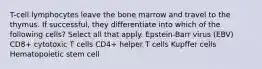 T-cell lymphocytes leave the bone marrow and travel to the thymus. If successful, they differentiate into which of the following cells? Select all that apply. Epstein-Barr virus (EBV) CD8+ cytotoxic T cells CD4+ helper T cells Kupffer cells Hematopoietic stem cell