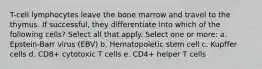 T-cell lymphocytes leave the bone marrow and travel to the thymus. If successful, they differentiate into which of the following cells? Select all that apply. Select one or more: a. Epstein-Barr virus (EBV) b. Hematopoietic stem cell c. Kupffer cells d. CD8+ cytotoxic T cells e. CD4+ helper T cells