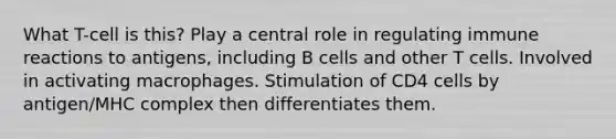 What T-cell is this? Play a central role in regulating immune reactions to antigens, including B cells and other T cells. Involved in activating macrophages. Stimulation of CD4 cells by antigen/MHC complex then differentiates them.