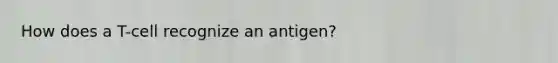 How does a T-cell recognize an antigen?