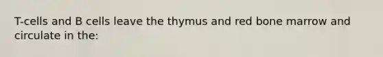 T-cells and B cells leave the thymus and red bone marrow and circulate in the: