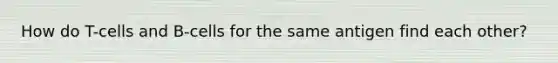 How do T-cells and B-cells for the same antigen find each other?