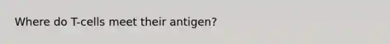 Where do T-cells meet their antigen?