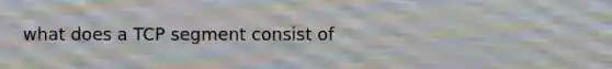 what does a TCP segment consist of