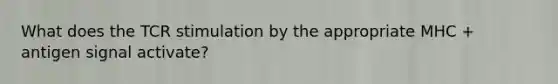 What does the TCR stimulation by the appropriate MHC + antigen signal activate?