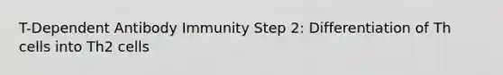 T-Dependent Antibody Immunity Step 2: Differentiation of Th cells into Th2 cells