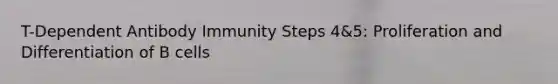 T-Dependent Antibody Immunity Steps 4&5: Proliferation and Differentiation of B cells