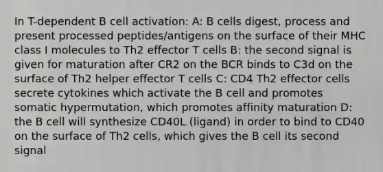 In T-dependent B cell activation: A: B cells digest, process and present processed peptides/antigens on the surface of their MHC class I molecules to Th2 effector T cells B: the second signal is given for maturation after CR2 on the BCR binds to C3d on the surface of Th2 helper effector T cells C: CD4 Th2 effector cells secrete cytokines which activate the B cell and promotes somatic hypermutation, which promotes affinity maturation D: the B cell will synthesize CD40L (ligand) in order to bind to CD40 on the surface of Th2 cells, which gives the B cell its second signal