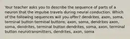 Your teacher asks you to describe the sequence of parts of a neuron that the impulse travels during neural conduction. Which of the following sequences will you offer? dendrites, axon, soma, terminal button terminal buttons, axon, soma, dendrites axon, soma, dendrites, terminal button dendrites, soma, axon, terminal button neurotransmitters, dendrites, axon, soma