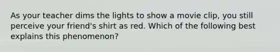 As your teacher dims the lights to show a movie clip, you still perceive your friend's shirt as red. Which of the following best explains this phenomenon?