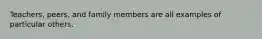Teachers, peers, and family members are all examples of particular others.