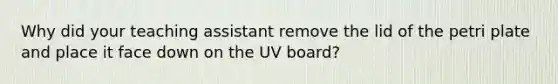 Why did your teaching assistant remove the lid of the petri plate and place it face down on the UV board?