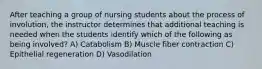 After teaching a group of nursing students about the process of involution, the instructor determines that additional teaching is needed when the students identify which of the following as being involved? A) Catabolism B) Muscle fiber contraction C) Epithelial regeneration D) Vasodilation