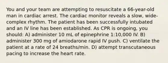 You and your team are attempting to resuscitate a 66-year-old man in cardiac arrest. The cardiac monitor reveals a slow, wide-complex rhythm. The patient has been successfully intubated and an IV line has been established. As CPR is ongoing, you should: A) administer 10 mL of epinephrine 1:10,000 IV. B) administer 300 mg of amiodarone rapid IV push. C) ventilate the patient at a rate of 24 breaths/min. D) attempt transcutaneous pacing to increase the heart rate.