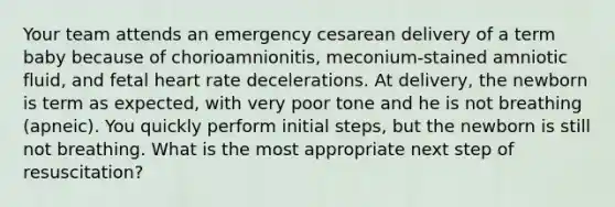 Your team attends an emergency cesarean delivery of a term baby because of chorioamnionitis, meconium-stained amniotic fluid, and fetal heart rate decelerations. At delivery, the newborn is term as expected, with very poor tone and he is not breathing (apneic). You quickly perform initial steps, but the newborn is still not breathing. What is the most appropriate next step of resuscitation?