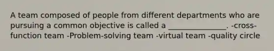 A team composed of people from different departments who are pursuing a common objective is called a _______________. -cross-function team -Problem-solving team -virtual team -quality circle