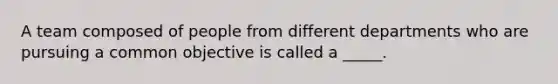 A team composed of people from different departments who are pursuing a common objective is called a _____.