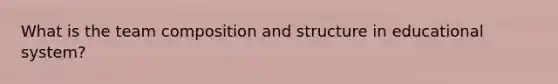 What is the team composition and structure in educational system?