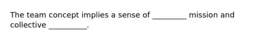 The team concept implies a sense of _________ mission and collective __________.