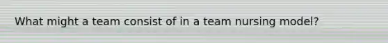 What might a team consist of in a team nursing model?