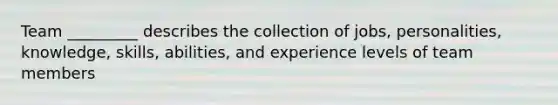 Team _________ describes the collection of jobs, personalities, knowledge, skills, abilities, and experience levels of team members