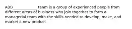 A(n)_____________ team is a group of experienced people from different areas of business who join together to form a managerial team with the skills needed to develop, make, and market a new product