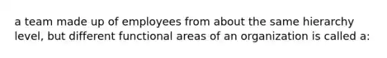 a team made up of employees from about the same hierarchy level, but different functional areas of an organization is called a: