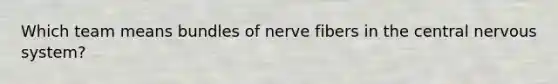 Which team means bundles of nerve fibers in the central nervous system?