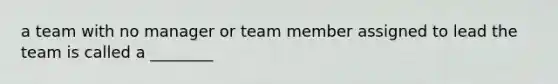 a team with no manager or team member assigned to lead the team is called a ________