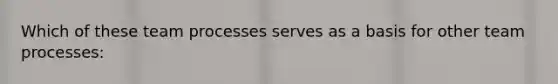 Which of these team processes serves as a basis for other team processes: