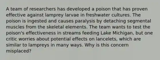 A team of researchers has developed a poison that has proven effective against lamprey larvae in freshwater cultures. The poison is ingested and causes paralysis by detaching segmental muscles from the skeletal elements. The team wants to test the poison's effectiveness in streams feeding Lake Michigan, but one critic worries about potential effects on lancelets, which are similar to lampreys in many ways. Why is this concern misplaced?