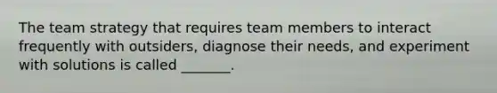 The team strategy that requires team members to interact frequently with outsiders, diagnose their needs, and experiment with solutions is called _______.