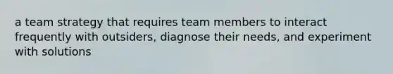 a team strategy that requires team members to interact frequently with outsiders, diagnose their needs, and experiment with solutions