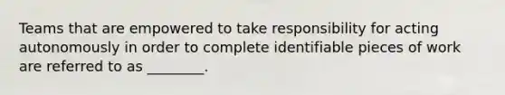 Teams that are empowered to take responsibility for acting autonomously in order to complete identifiable pieces of work are referred to as ________.